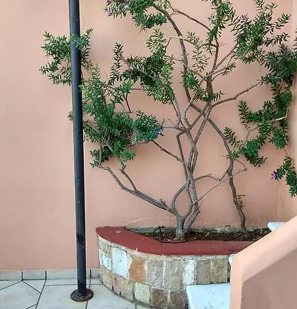 Apartment Ira Lassi (Kefalonia)